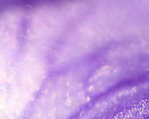Unscharfe violette Makroaufnahme mit hellen Lichtreflexen, unten rechts sind kleine glitzernde Punkte zu sehen.