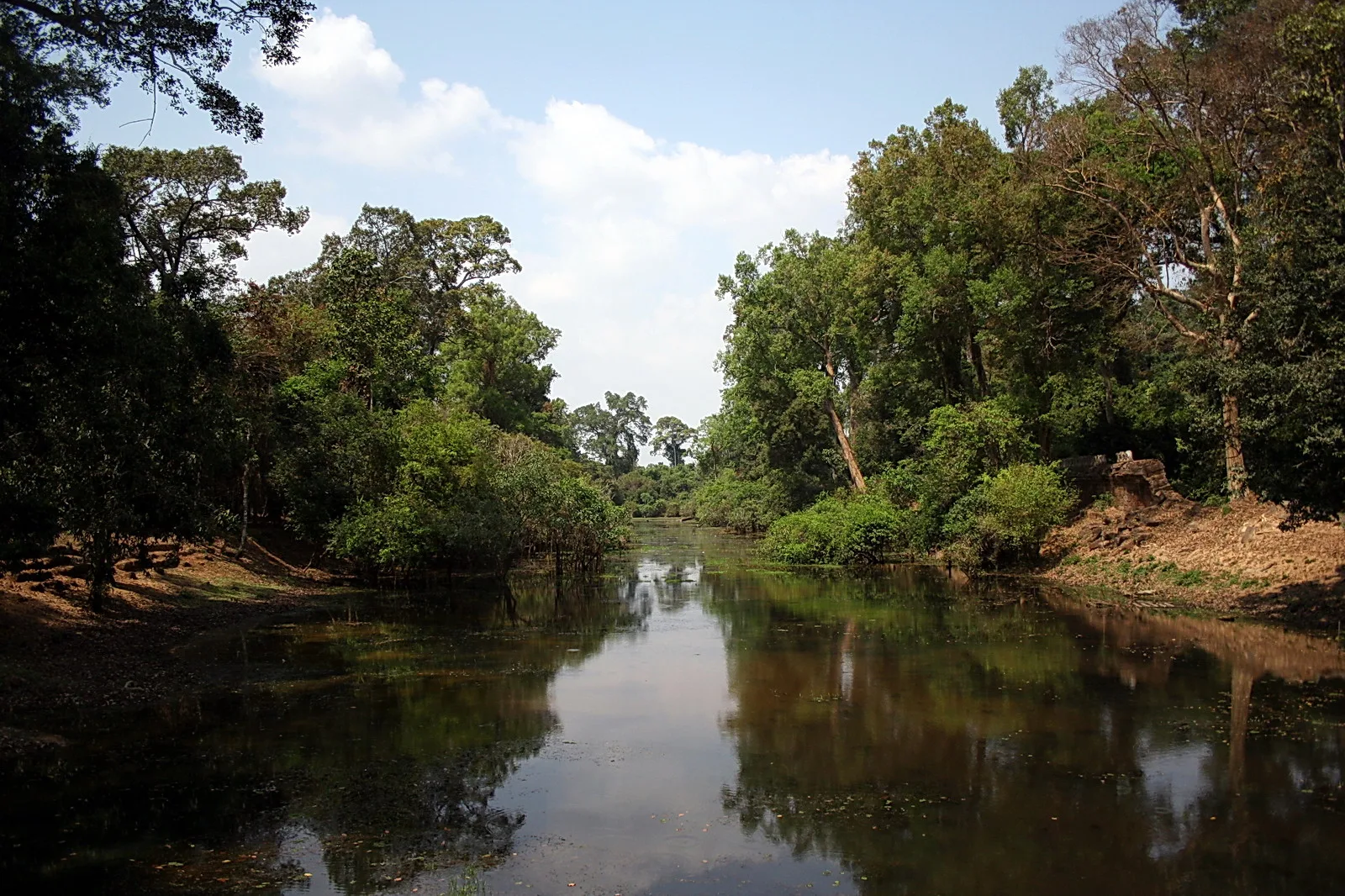 Ruhiger Fluss mit dunklem Wasser, gesäumt von dichtem tropischem Wald unter blauem Himmel mit Wolken.