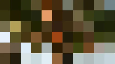 Pixeliges Mosaik aus Farbblöcken in Oliv, Braun und Dunkelgrün, am Rand hellblaue Felder und ein orangefarbener Block.