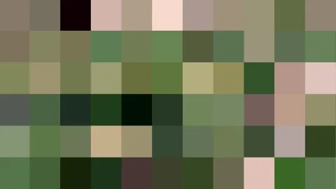Mosaik aus quadratischen Pixelblöcken in Grün-, Braun- und Rosatönen, ohne erkennbares Motiv