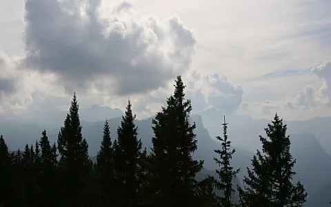 Dunkle Tannenspitzen zeichnen sich vor hintergrundigen Bergketten ab, darüber türmen sich graue Wolken am Himmel.