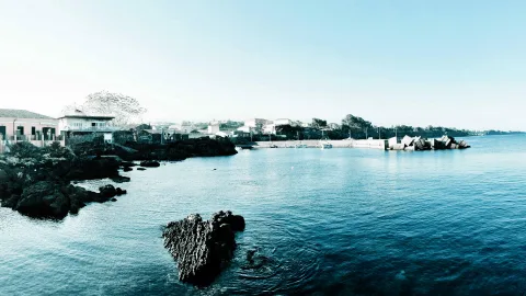 Blick über eine Bucht mit Hafenmole, mehreren Booten und Häusern am Ufer, im Vordergrund ein dunkler Felsen im blaugrünen Wasser.