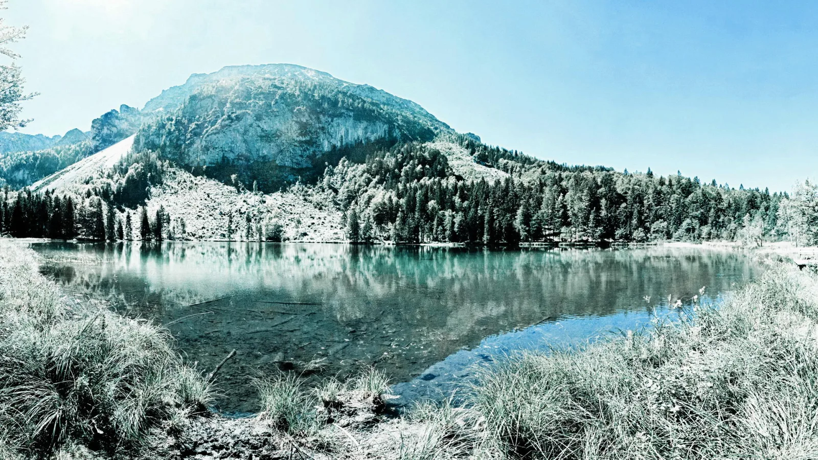 Ruhiger Bergsee, dahinter eine steile Felswand und dichter Nadelwald unter hellblauem Himmel