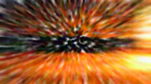 Abstrakte Komposition aus orangen, gelben und dunkelgrünen Streifen, die vom dunklen Zentrum radial nach außen strahlen.