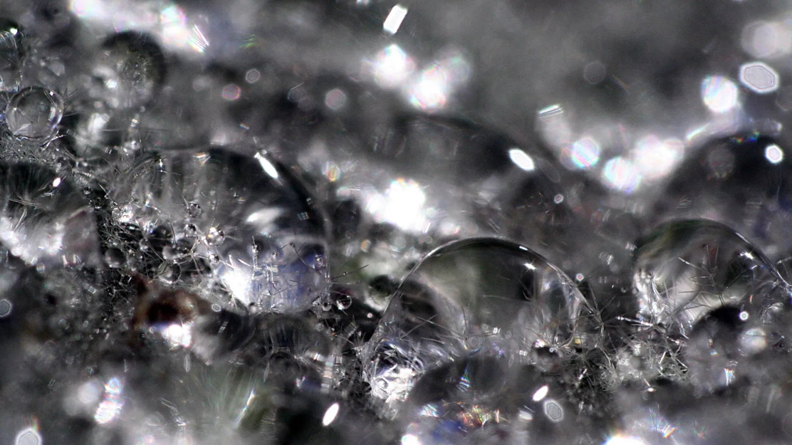Makroaufnahme vieler kleiner Wassertropfen auf einer dunklen, glitzernden Oberfläche, mit hellen Lichtreflexen und Unschärfe im Hintergrund.