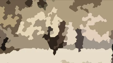 Abstraktes Muster aus beigen, braunen und dunklen Flächen mit unregelmäßigen Rändern, unten ein heller Streifen.