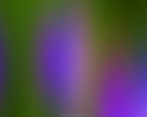 Weich verwischte Farbflächen in Grün, Violett und Magenta, die ineinander übergehen.