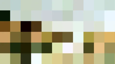 Abstraktes Raster aus quadratischen Farbfeldern in Grün, Ocker, Braun, Creme und Schwarz, gleichmäßig über die Fläche verteilt.