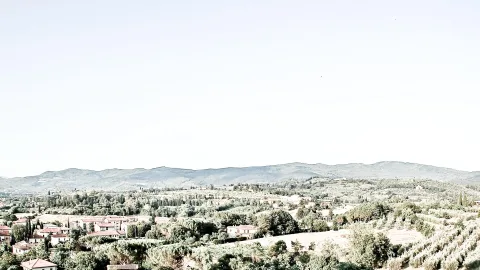 Weite Hügellandschaft mit dichten Baumgruppen, verstreuten Häusern mit roten Dächern und einem blassen, wolkenlosen Himmel im Hintergrund