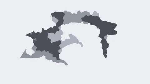 Abstrakte graue Formen auf hellem Hintergrund, die an eine zerklüftete Landkarte erinnern.