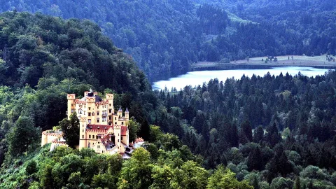 Gelbes Schloss mit roten Dächern und Türmen auf einem bewaldeten Hügel, dahinter ein See zwischen dunklen Waldhängen.