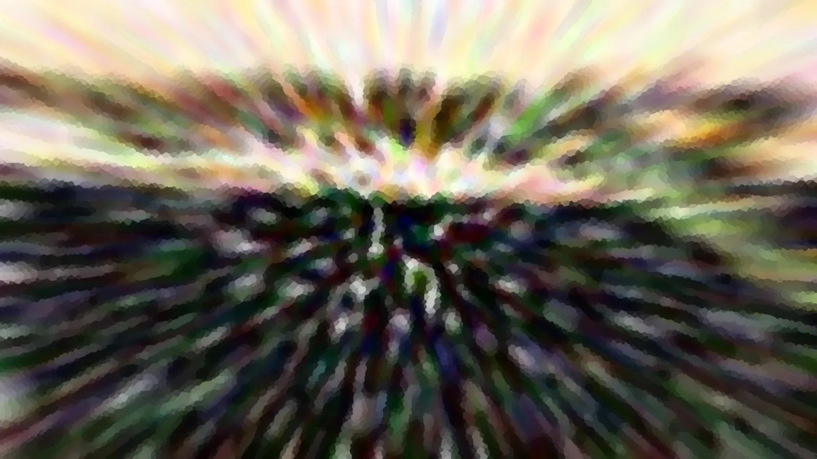 Abstrakte Komposition aus radialer Bewegungsunschärfe mit gelben, rosafarbenen und dunkelgrünen Farbflächen, die von der Bildmitte nach außen strahlen.