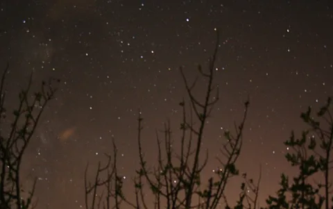 Nachthimmel voller Sterne, im unteren Bereich silhouettierte kahle Zweige und Sträucher, am Horizont ein bräunlicher Lichtschimmer.
