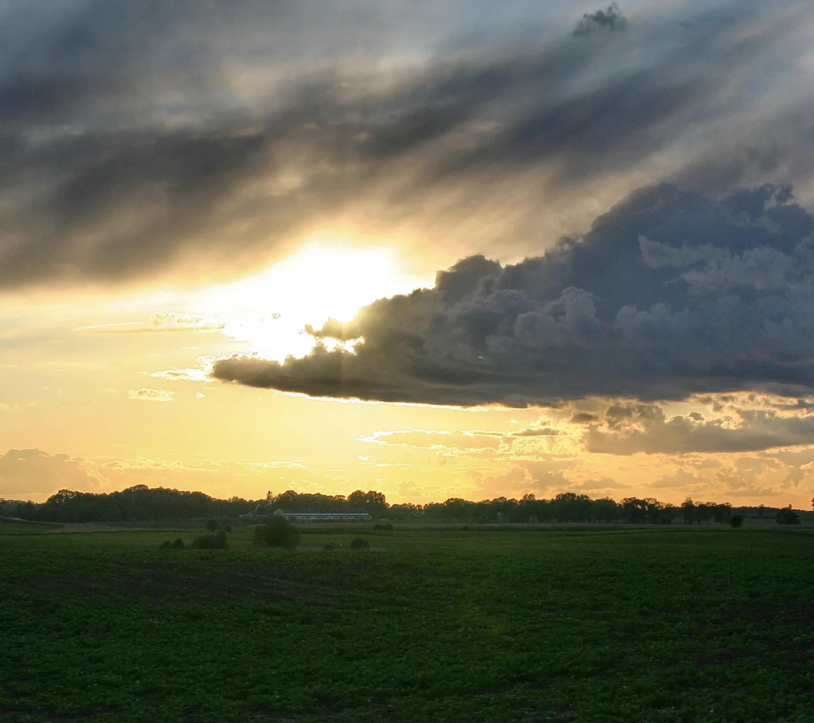 Tiefstehende Sonne hinter dunklen Wolkenbänken über einem flachen grünen Feld, am Horizont eine Baumreihe.