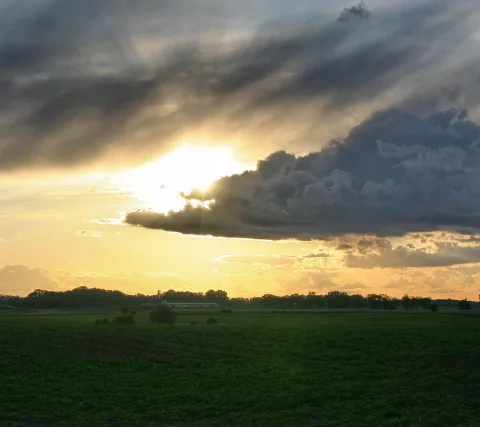Tiefstehende Sonne hinter dunklen Wolkenbänken über einem flachen grünen Feld, am Horizont eine Baumreihe.