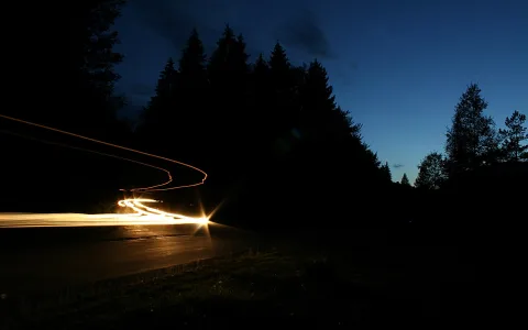 Lichtspuren eines Fahrzeugs in einer Kurve einer Straße bei Nacht, dahinter dunkle Nadelbäume und blauer Abendhimmel.