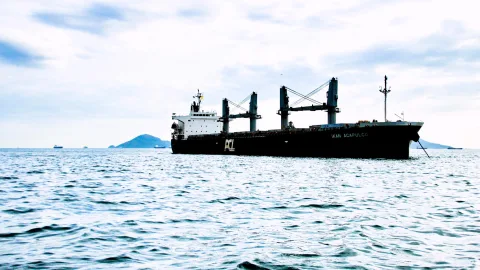 Schwarzes Frachtschiff mit weißem Aufbau und grauen Ladekränen fährt auf ruhiger, bewegter See; im Hintergrund liegen Inseln unter bewölktem Himmel.