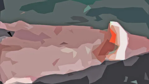 Abstrakte Low-Poly-Komposition mit einer großen rosa Fläche, einem orangefarbenen und weißen Akzent rechts und dunkelgrünem Hintergrund oben.