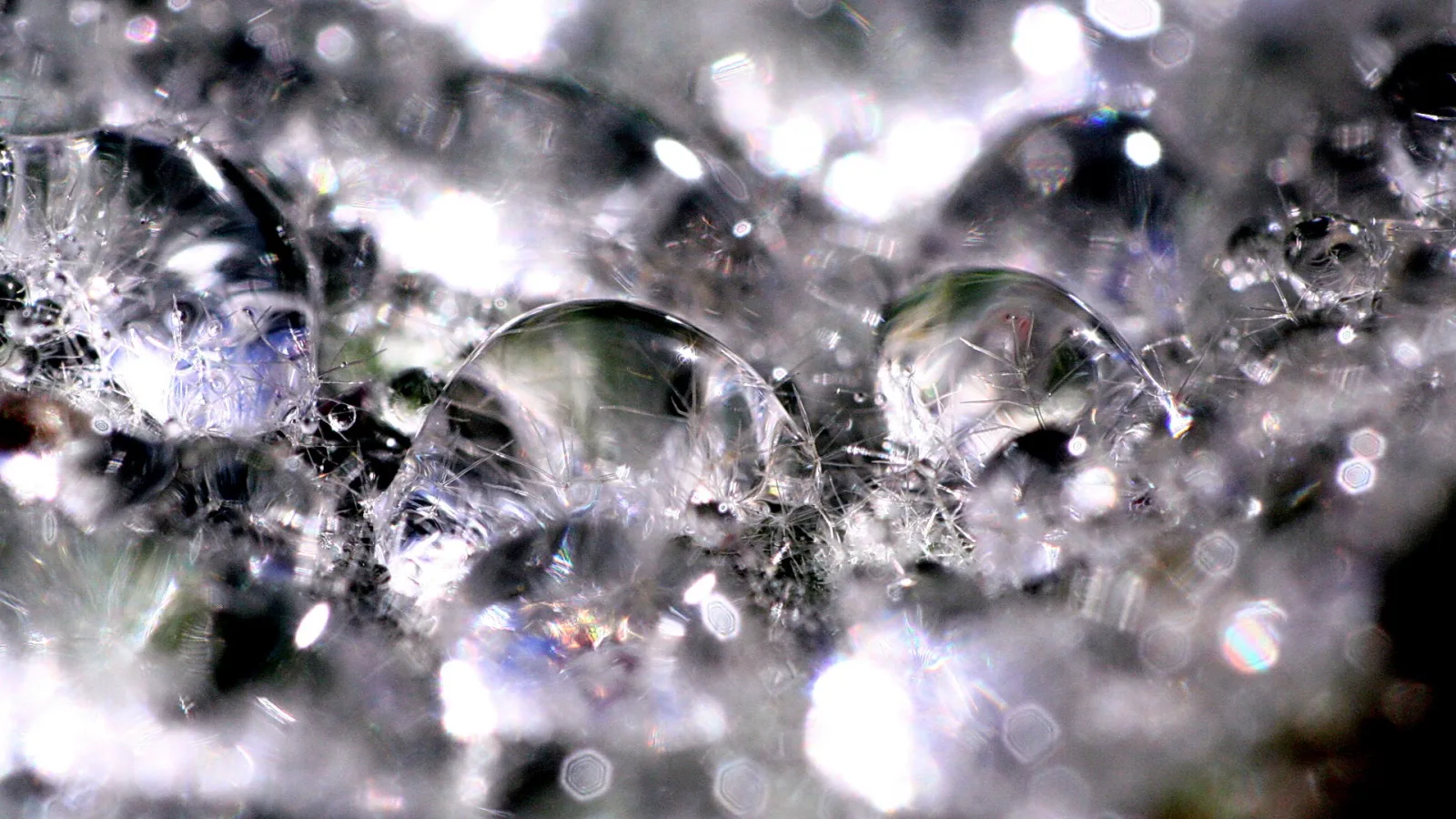 Makroaufnahme vieler glänzender Wasserblasen und Tropfen auf einer grauen, glitzernden Oberfläche, mit hellen Lichtreflexen.