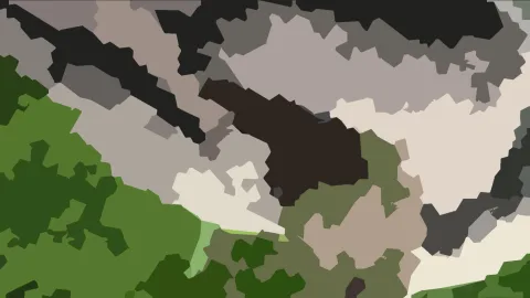 Abstrakte Komposition aus unregelmäßigen Flächen in Dunkelgrün, Hellgrün, Grau, Beige und Schwarzbraun, die an ein Tarnmuster erinnert.