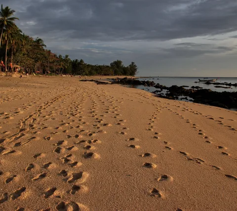 Breiter Sandstrand mit vielen Fußspuren, links eine Reihe Palmen, rechts dunkle Felsen im Meer und ein kleines Boot am Horizont unter bewölktem Himmel.