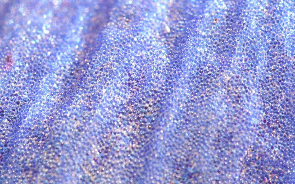 Makroaufnahme einer blau-violetten Oberfläche mit dicht stehenden kleinen Noppen und sanften Falten, die glitzernd das Licht reflektieren.