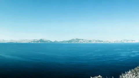 Ruhiges, blaues Meer erstreckt sich bis zu einer hellen, felsigen Gebirgskette unter klarem Himmel; im rechten unteren Bildrand stehen einige Sträucher.