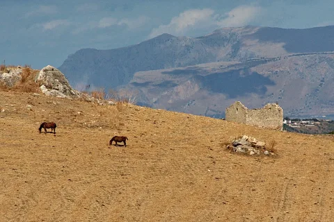 Zwei braune Pferde grasen auf einer trockenen goldgelben Weide, rechts steht eine verfallene Steinruine vor einer Bergkette.