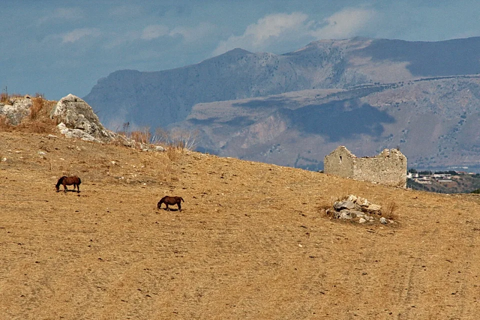 Zwei braune Pferde grasen auf einer trockenen goldgelben Weide, rechts steht eine verfallene Steinruine vor einer Bergkette.