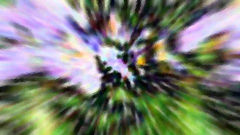 Abstrakte Aufnahme mit radialer Bewegungsunschärfe: grüne Blätter und Zweige strahlen von einem dunklen Zentrum nach außen, im Hintergrund lila und helle Töne.