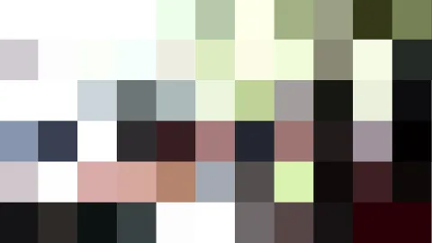Mosaik aus rechteckigen Farbfeldern in Weiß, Grün, Grau, Schwarz, Rosa und Braun, in zehn Spalten und sechs Reihen angeordnet.