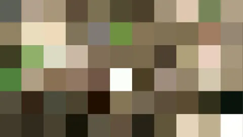 Rechteckiges Raster aus Pixelblöcken in Braun-, Beige-, Grün- und Weißtönen.