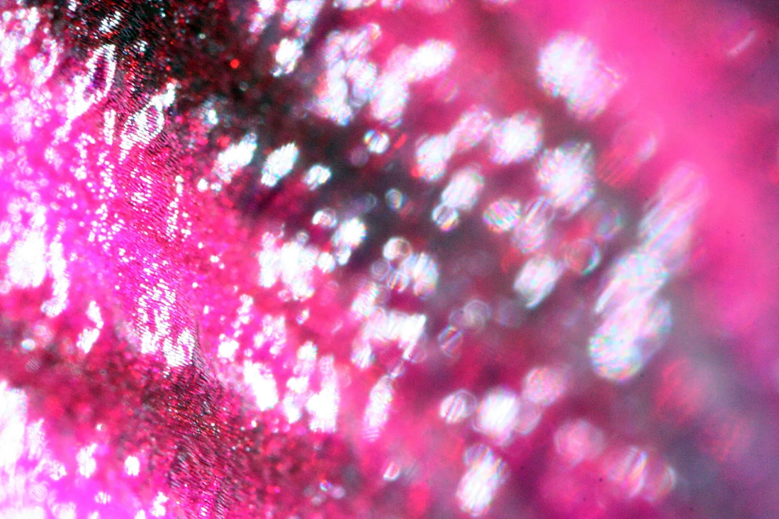 Nahaufnahme einer pinkfarbenen Oberfläche mit vielen weißen Lichtpunkten, die unscharf in Rosa und Dunkelrot verlaufen.