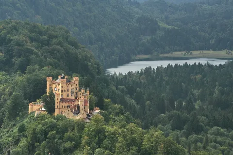 Gelbes Schloss Hohenschwangau auf einem bewaldeten Hügel, dahinter ein See zwischen dichten Nadelwäldern.
