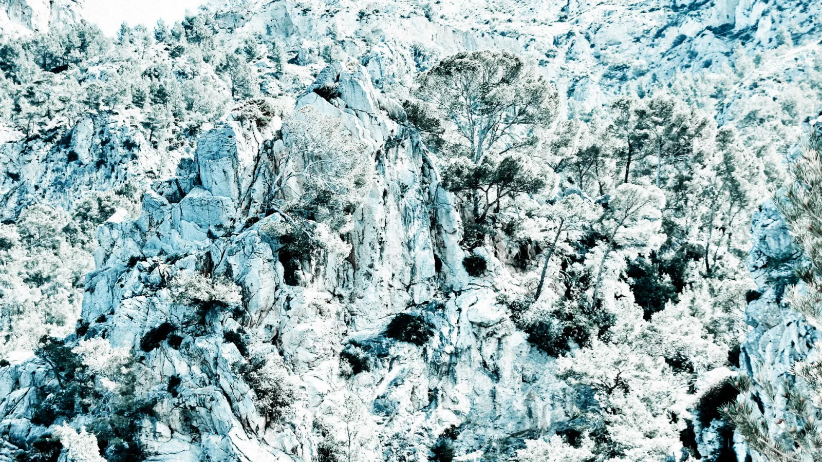 Steile, helle Felsen, dicht bewachsen mit Kiefern und anderen Nadelbäumen, in kühlen Blau- und Weißtönen.