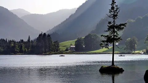 Einzelne Fichte auf einer kleinen bemoosten Felsinsel in einem ruhigen Bergsee, dahinter bewaldete Hänge, grüne Wiesen und ein einzelnes Haus.