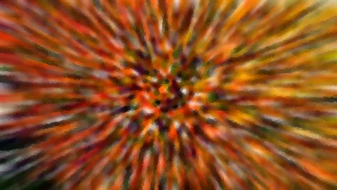Abstrakte Komposition aus orangefarbenen, roten und gelben Streifen, die von einem dunkleren Zentrum radial nach außen verlaufen, verwischt wie bei einer Zoomaufnahme.