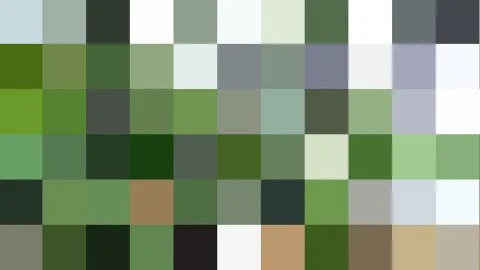 Raster aus quadratischen Farbfeldern in Grün-, Grau- und Weißtönen, dazwischen einzelne braune, beige und fast schwarze Felder.