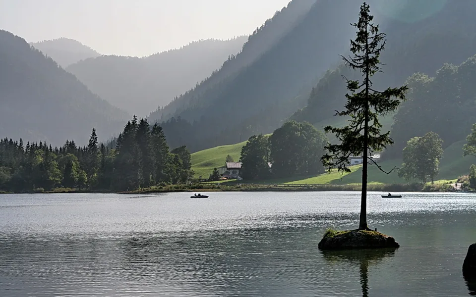 Ein einzelner Nadelbaum steht auf einer kleinen Felseninsel in einem ruhigen Bergsee, dahinter steigen bewaldete Berghänge im Dunst auf, rechts ein Haus auf einer Wiese.