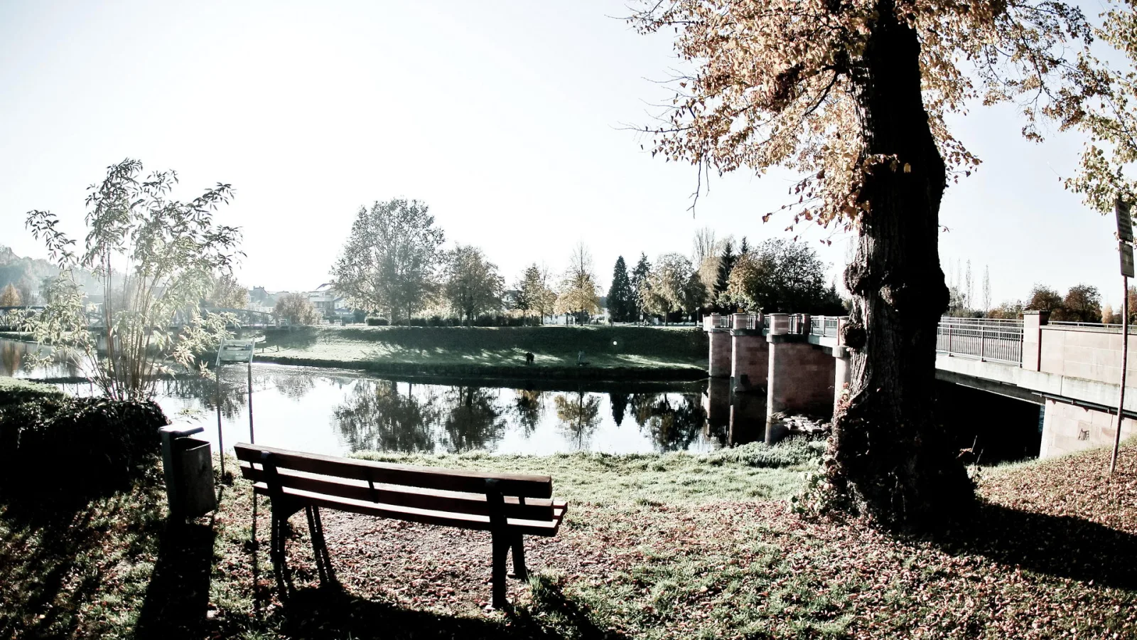 Holzbank auf einer Wiese am Ufer eines ruhigen Flusses, daneben ein großer Baum mit herbstlichem Laub und eine Steinbrücke mit Geländer im Hintergrund, an einem sonnigen Morgen.