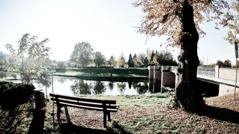 Holzbank auf einer Wiese am Ufer eines ruhigen Flusses, daneben ein großer Baum mit herbstlichem Laub und eine Steinbrücke mit Geländer im Hintergrund, an einem sonnigen Morgen.