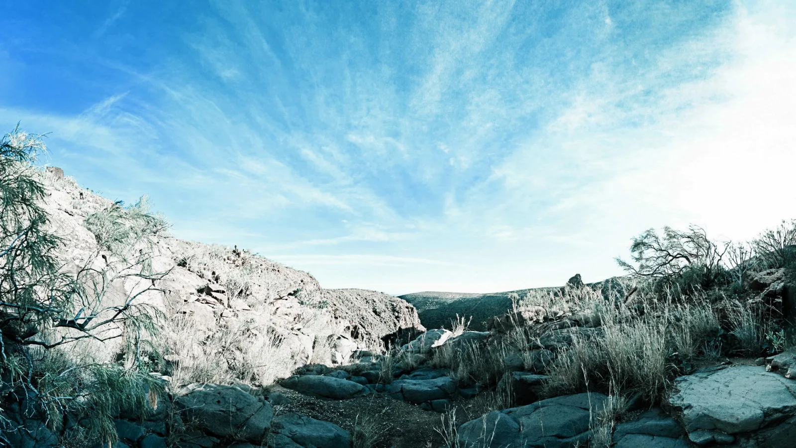Felsige, karge Landschaft mit hellen Felswänden links, trockenen Sträuchern und Gräsern im Vordergrund und einem blauen Himmel mit feinen Schleierwolken.
