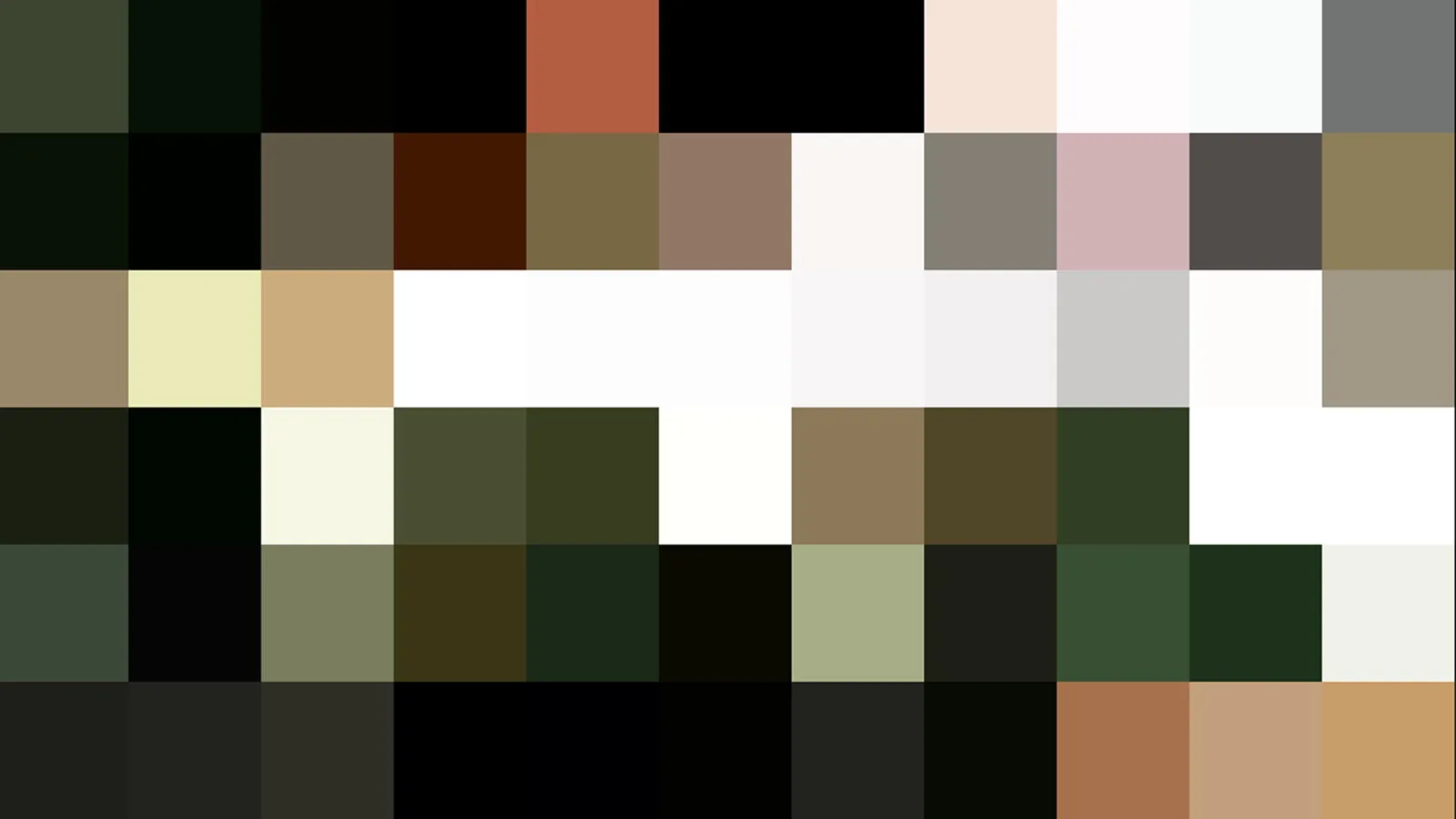 Mosaik aus quadratischen Farbfeldern in Dunkelgrün, Schwarz, Weiß, Beige und Braun, mit einzelnen rotbraunen und rosafarbenen Blöcken.