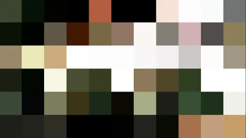 Mosaik aus quadratischen Farbfeldern in Dunkelgrün, Schwarz, Weiß, Beige und Braun, mit einzelnen rotbraunen und rosafarbenen Blöcken.