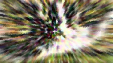 Abstrakte Komposition aus grünen, weißen, rosa und violetten Farbflächen, die vom Zentrum radial nach außen strahlen.