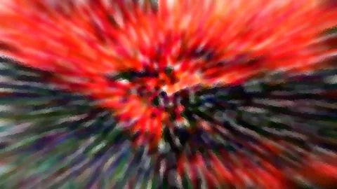 Abstrakte Aufnahme mit radialem Zoomeffekt: Von einer roten und orangefarbenen Mitte strahlen dunkelgrüne, violette und weiße Streifen nach außen.