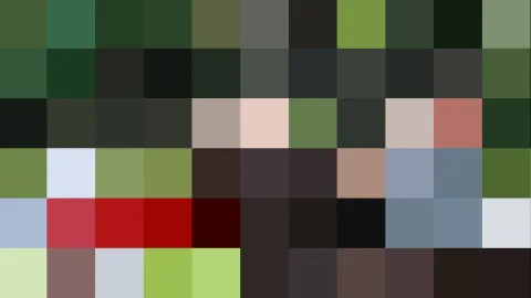 Raster aus quadratischen Farbfeldern in Grün, Rot, Grau, Blau und Schwarz
