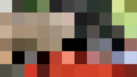 Raster aus farbigen Pixelblöcken in Beige, Olivgrün, Schwarz und Rot.