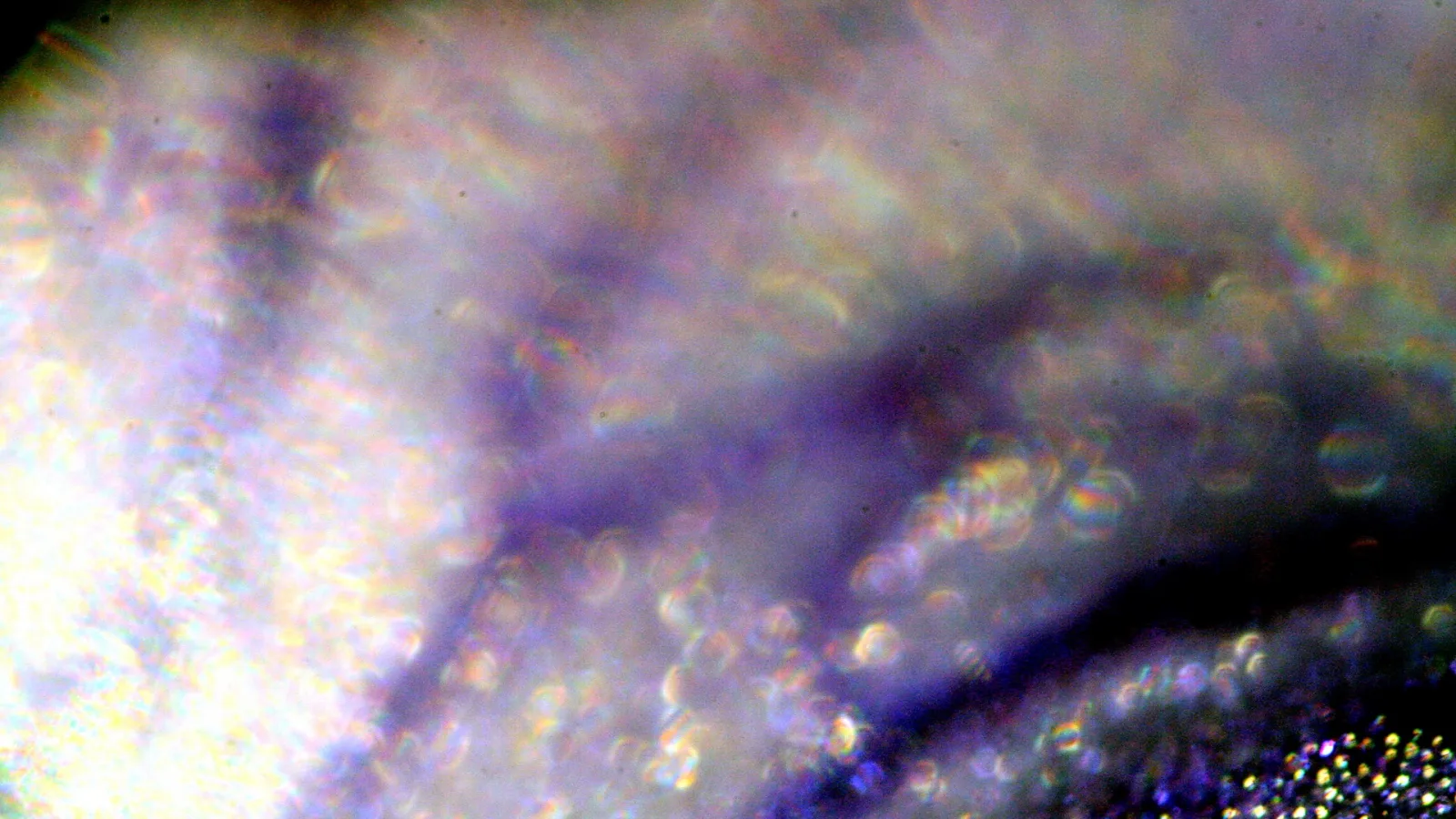 Unscharfe Nahaufnahme in Violett mit hellen Lichtreflexen und Glitzerpunkten unten rechts