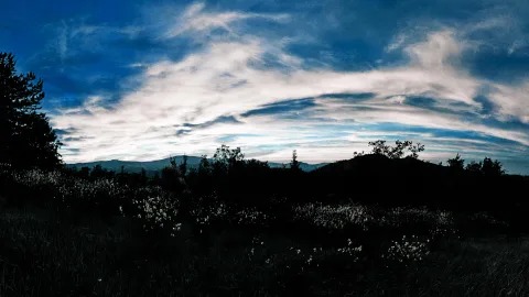 Panorama einer dunklen Hügellandschaft unter blauem Himmel mit hellen Wolkenstreifen, im Vordergrund helle Blütenstände im Gras, links und rechts dunkle Bäume.